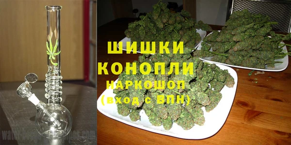 твердый Абаза