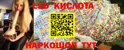 стаф Малгобек