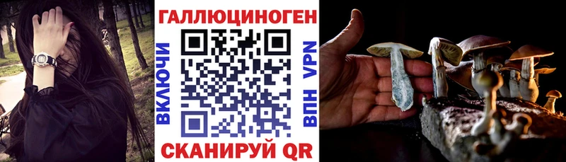 Псилоцибиновые грибы Psilocybe мега вход Грязи