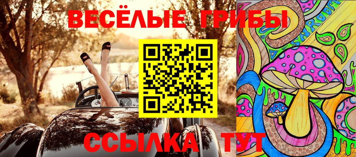 Псилоцибиновые грибы Cubensis Грязи
