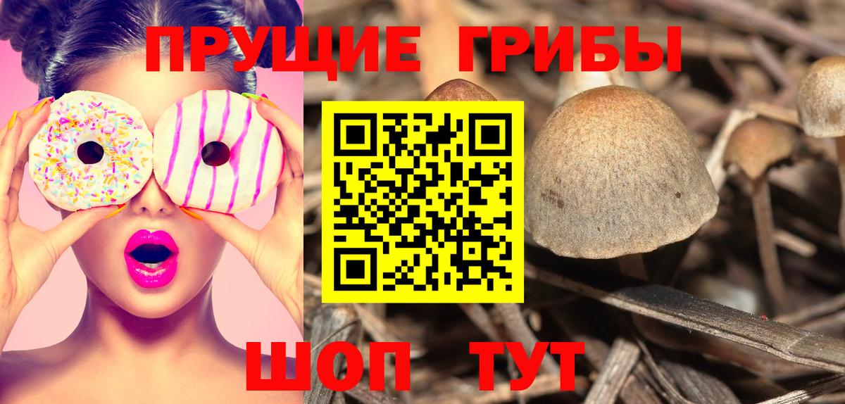 Грязи  Псилоцибиновые грибы Psilocybe  Вход с VPN  Псилоцибиновые грибы прущие грибы 